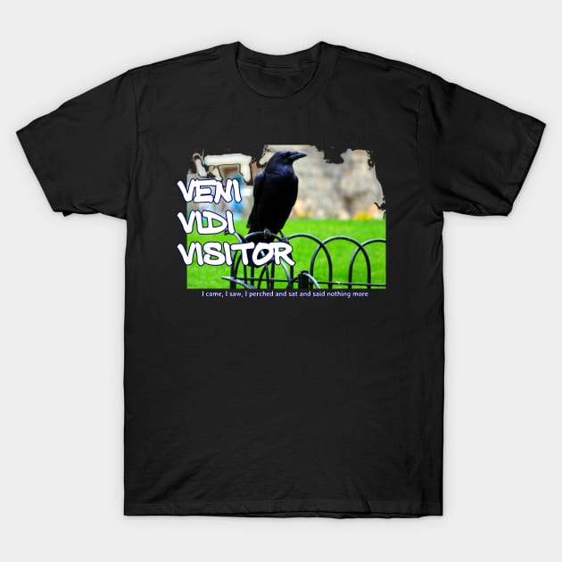 Veni Vidi Visitor - I came, I saw, I perched and sat and nothing more T-Shirt by soitwouldseem